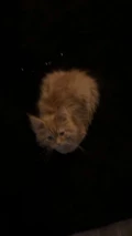 img 1506