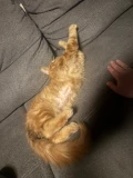 img 1542