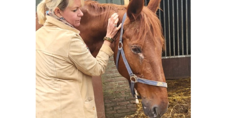 Ze redt zóveel, nu is het haar beurt – help deze dappere merrie Lina