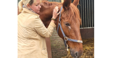 Ze redt zóveel, nu is het haar beurt – help deze dappere merrie Lina