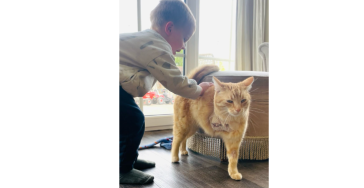 Help Jamie – Help De Knabbelweide