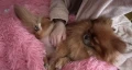 img 9788