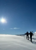 img 7523