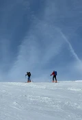 img 7740