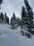 img 3460