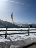 img 3697