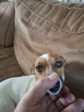 1000065047