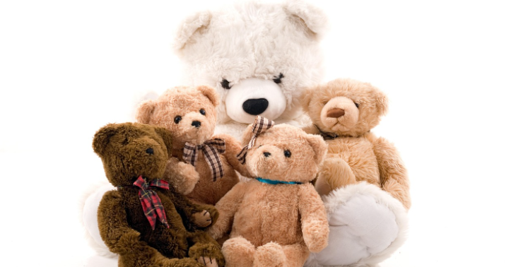 Het Teddy Asiel / l'Asile des Nounours