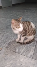 1000101142