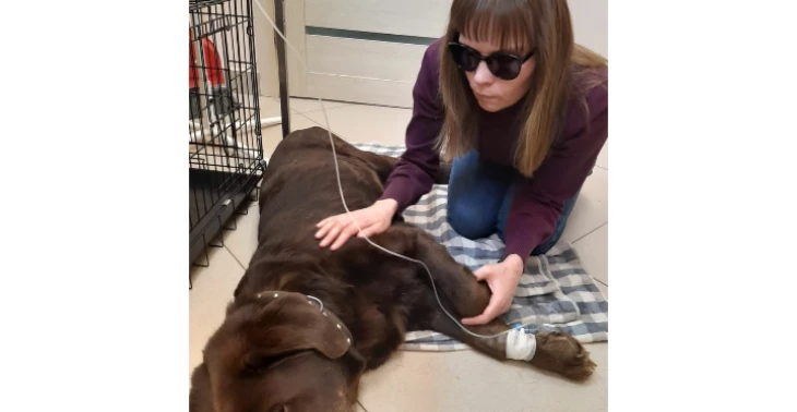 My dogs for treatment