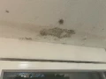 img 1860