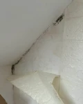 img 3357