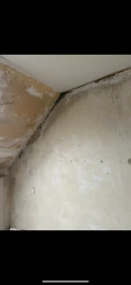 img 4359