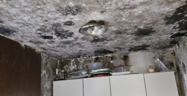 Sanierung Vereinsheim nach Wasserschäden