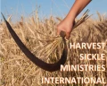 logo hsmi wit