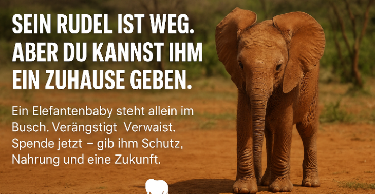 Sein Rudel ist weg. Aber du kannst ihm ein Zuhause geben.