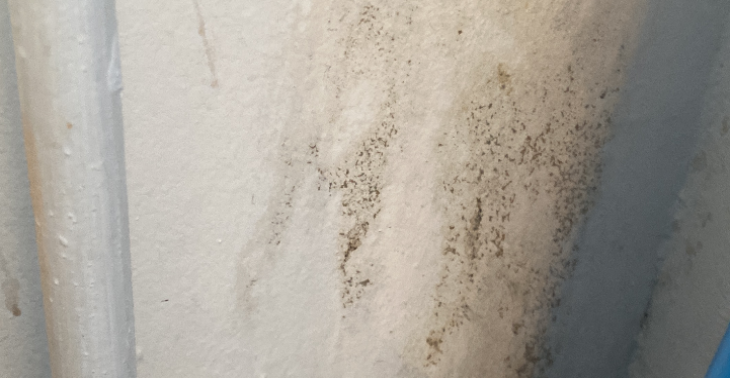 Wohnung mit Schimmel