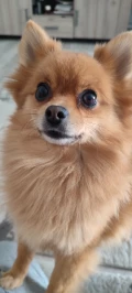 1000006508