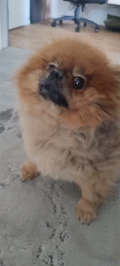 1000006642