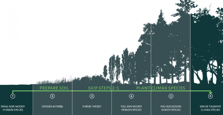 Forest Verts - klimaat actie