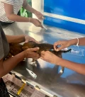 img 7583