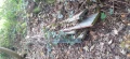 20211111 155029