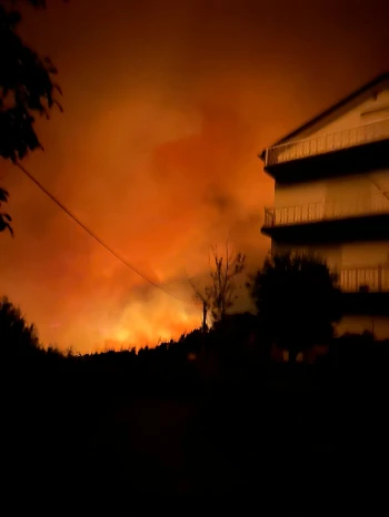 img 20240919 wa0016.