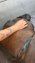 1000055916