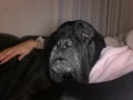 img 4532