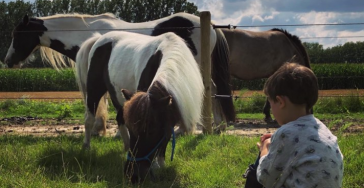 Help Ollie en Shiva zodat zij nog veel kinderen gelukkig kunnen maken