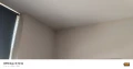 1000036017