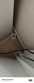 1000036162