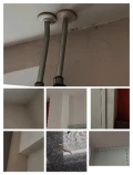1000036365