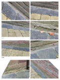 1000036367