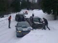 carbagerun2013