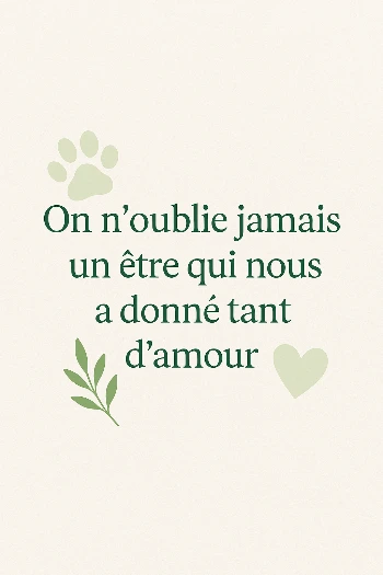 86fefd43 bc91 4daa 8c15 7cbe8497daf2.