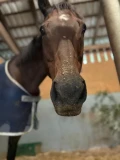 1000357716
