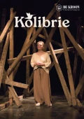 kolibrie