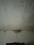 4669071448945015856