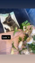 83173e20 2c6c 45bb 8625 ebe69b0c62ac