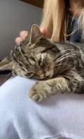img 4611