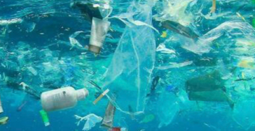 Sustainability and Environmental research