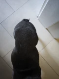 1000140046