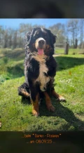 img 6719