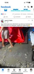 cebu 12