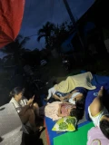 cebu 13