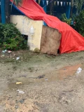 cebu 5
