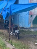 cebu 6