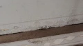 img 0866