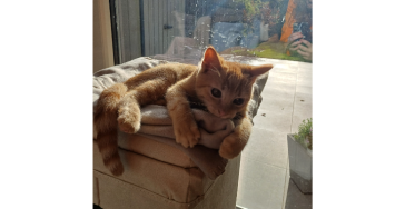 Red de poot van Marcel!